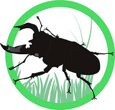My Entomology